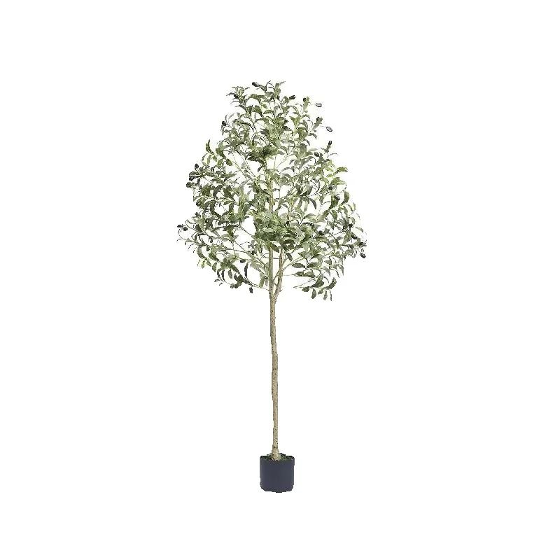 Ficus Lyrata Tree - SucceBuy Yapay Zeytin Ağacı 4/5/6FT Yüksekliğinde