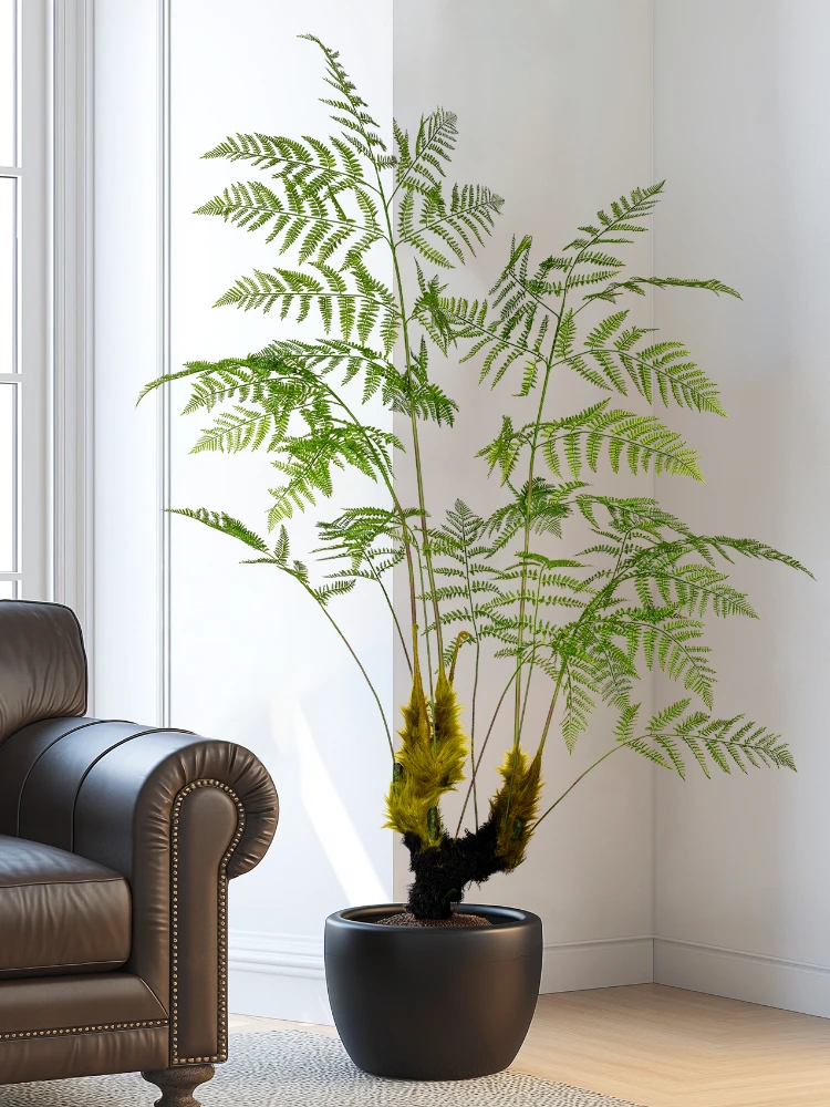 Dracaena Marginata - Büyük Simüle Altın Maymun Fern Yeşil