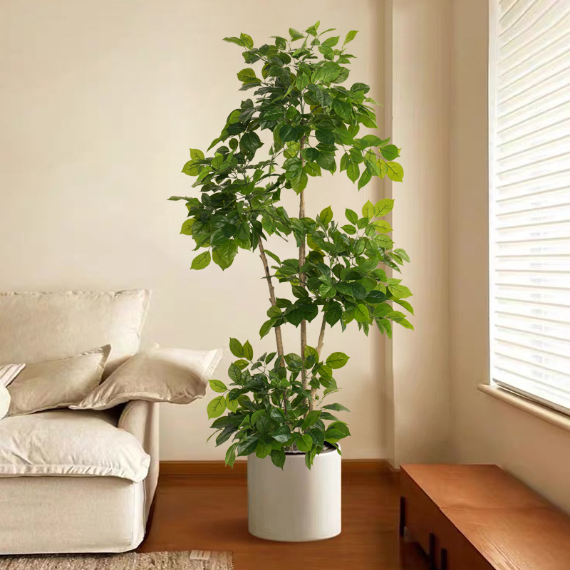 2-78in Büyük Sahte Bitkiler Ya - Dracaena Marginata incelemesi ve fiyatı