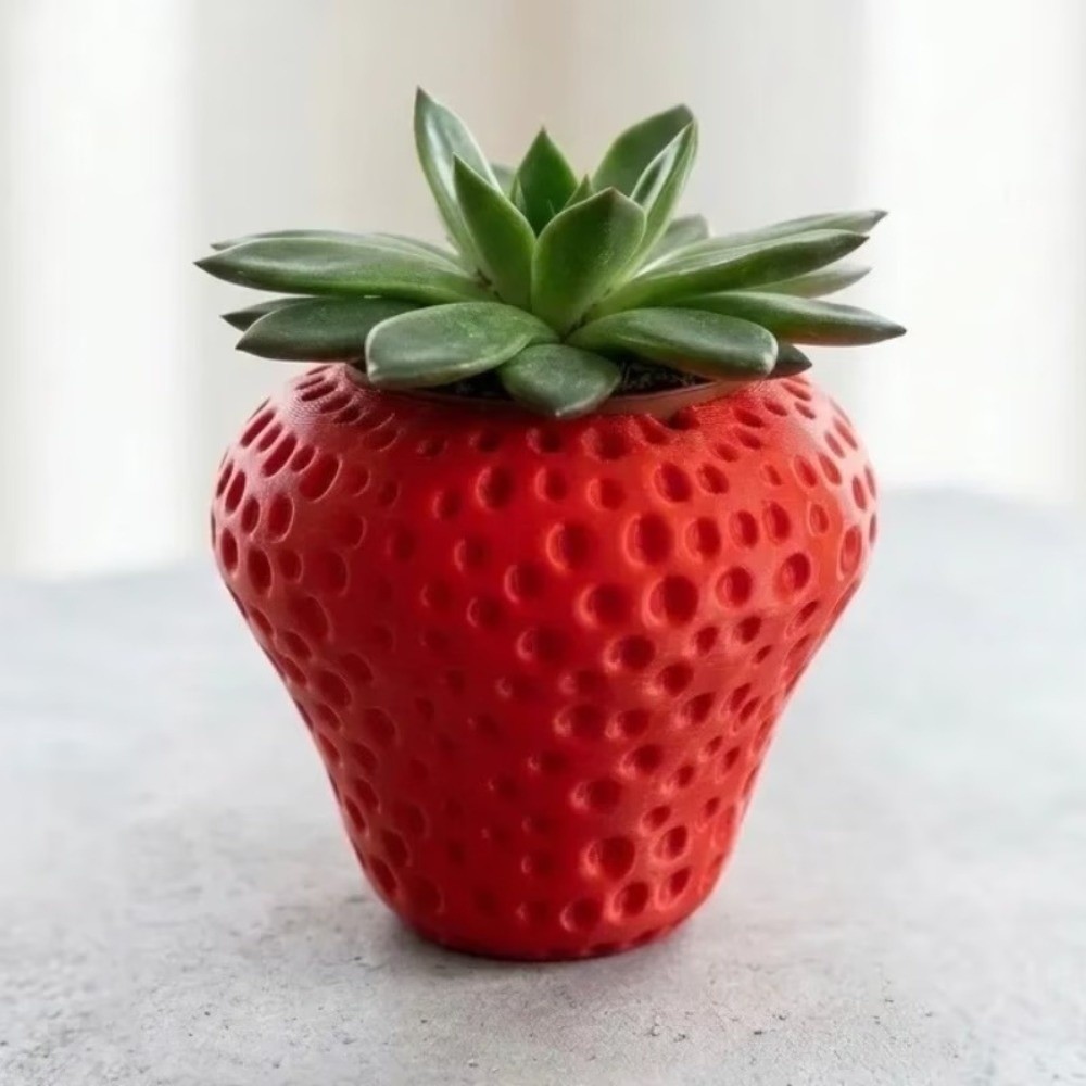 Plastik Meyve Saksısı 3D Baskı - Echeveria Succulent incelemesi ve fiyatı