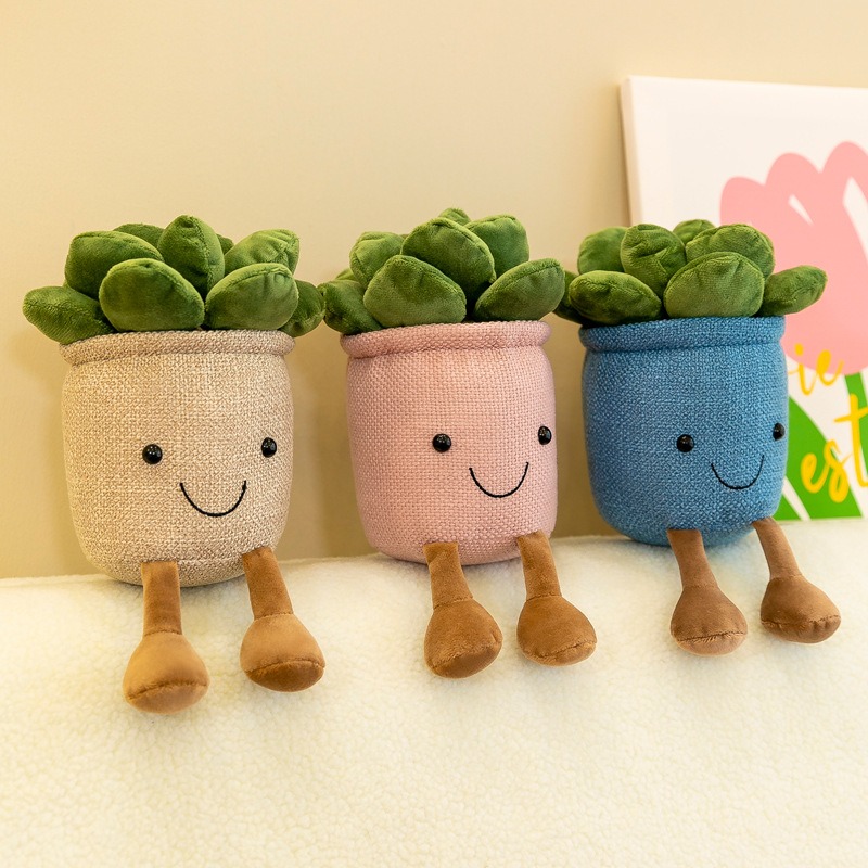 Gerçekçi Lale Sukulent Bitkile - Echeveria Succulent incelemesi ve fiyatı