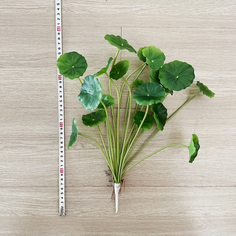 2 adet Yapay Pilea Peperomioid - Pilea Peperomioides incelemesi ve fiyatı