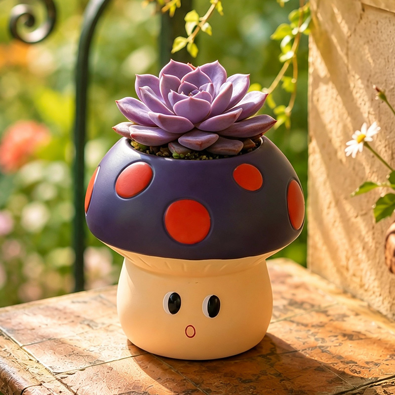 Sevimli Çizgi Film Mantar Reçi - Echeveria Succulent incelemesi ve fiyatı