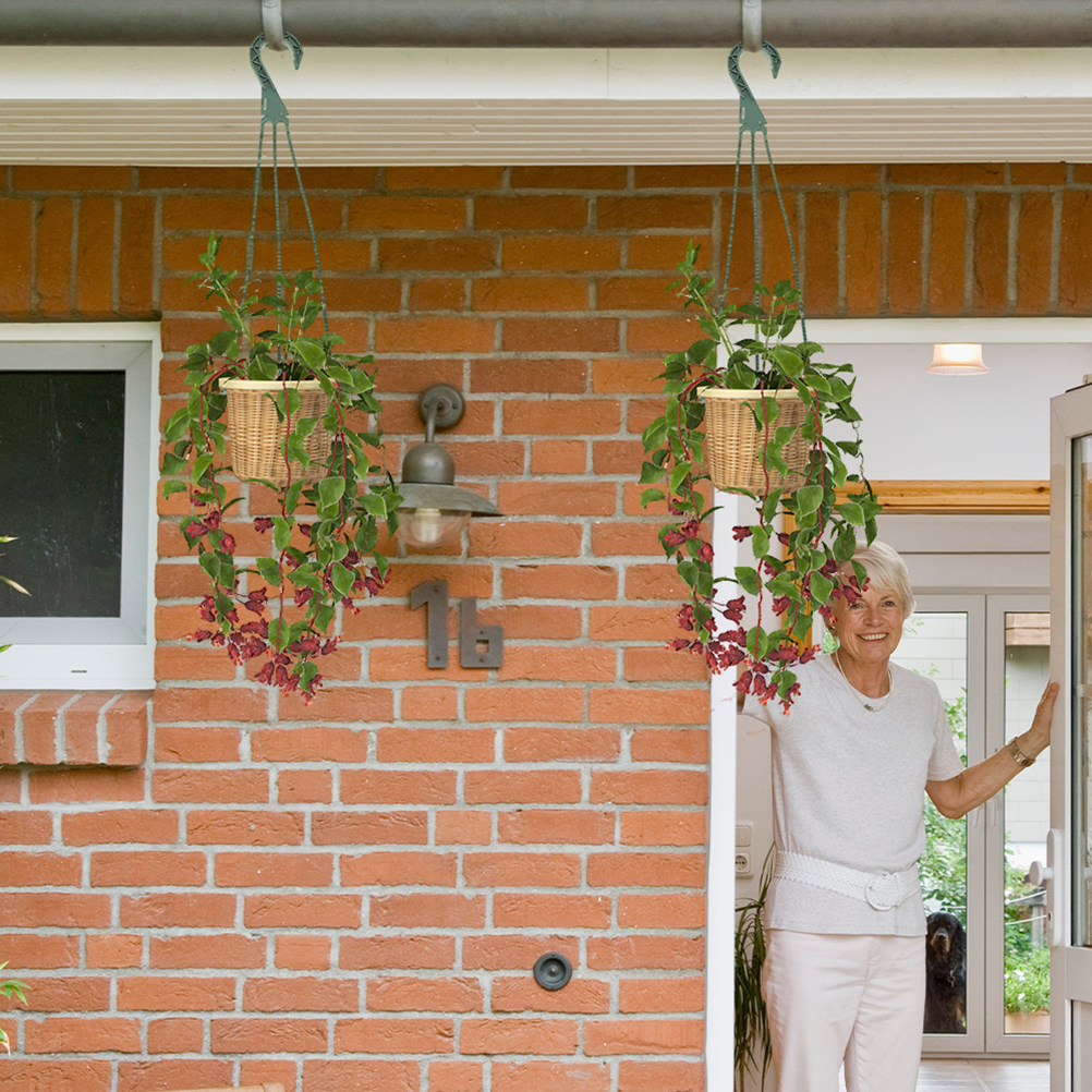 5 adet asılı saksı kancaları ç - Spider Plant Hanging incelemesi ve fiyatı